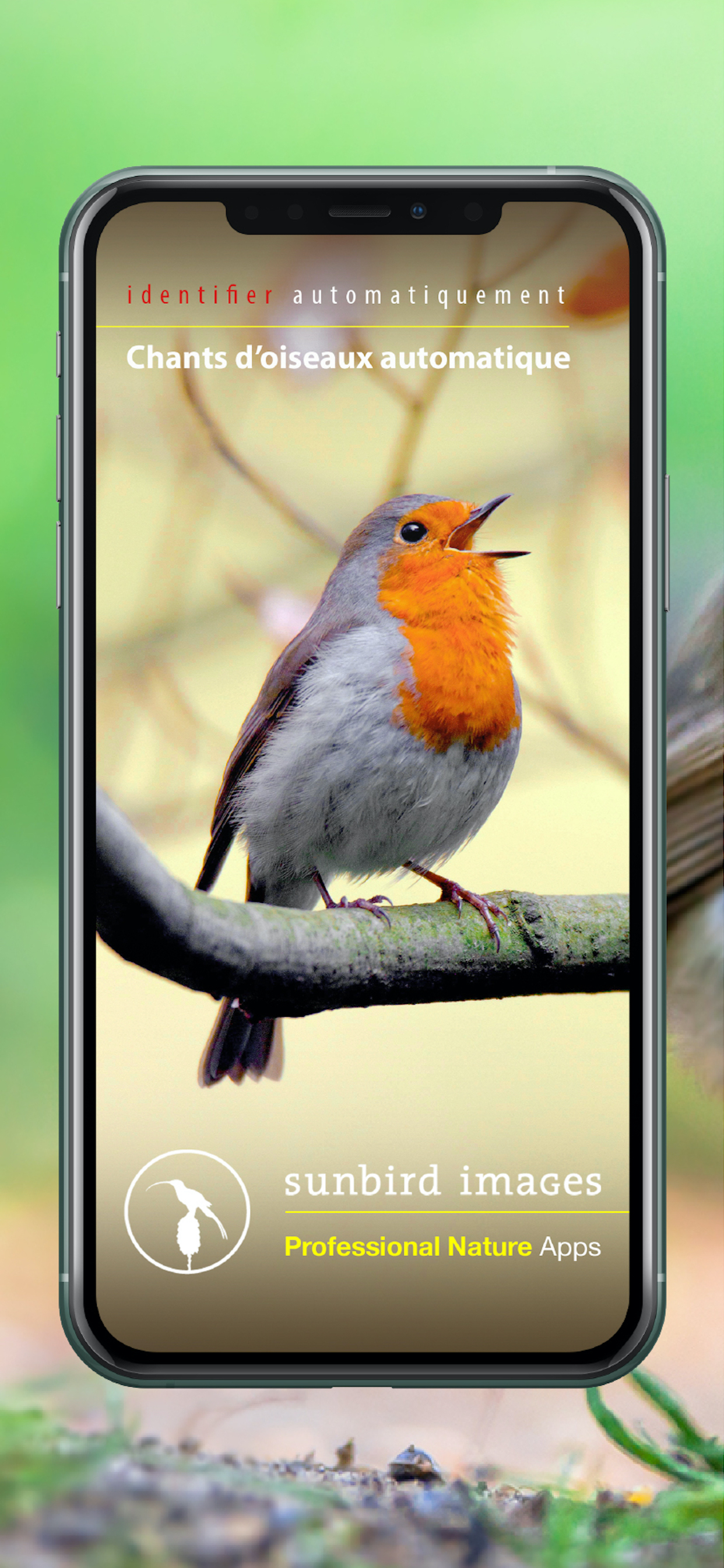 Chants d’oiseaux automatique