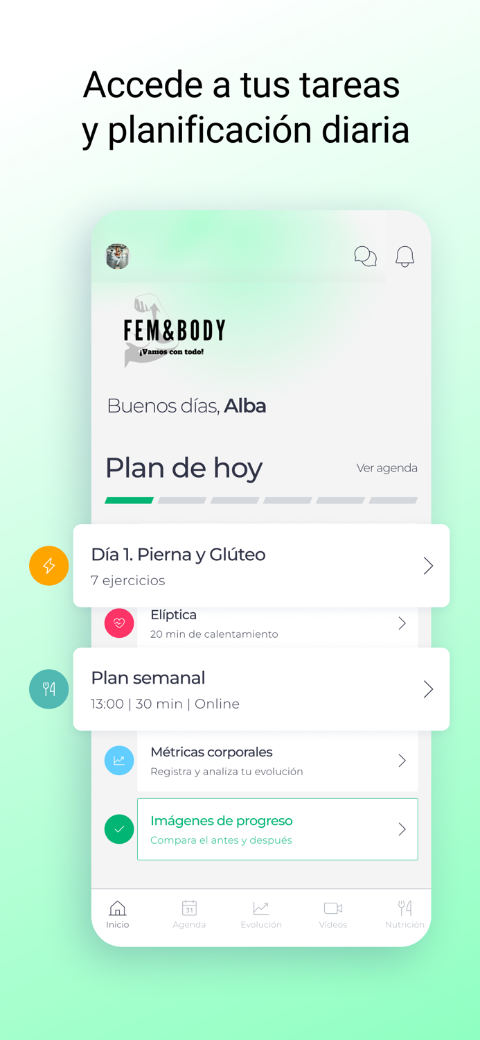 FEMandBODY