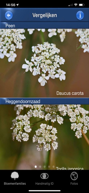 Wilde Bloemen Id NL(圖4)-速報App