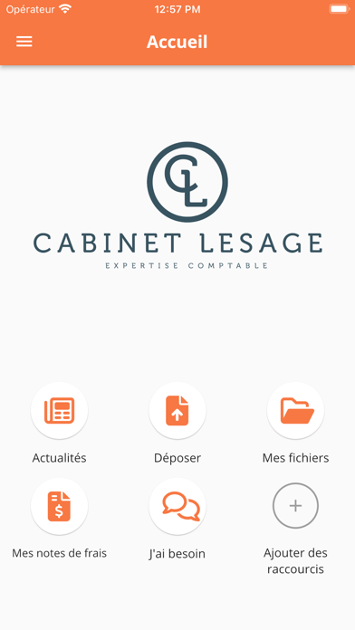 Cabinet Lesage Screenshot