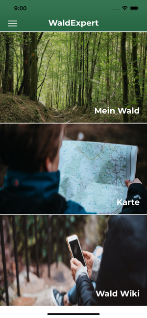 WaldExpert(圖1)-速報App