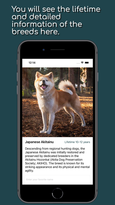 Doggy Time & Dog Scanner Screenshot