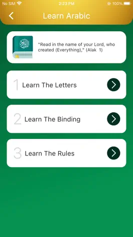 Game screenshot Sajud hack