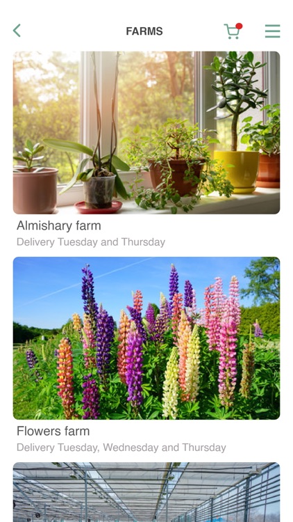 Basateen screenshot-3