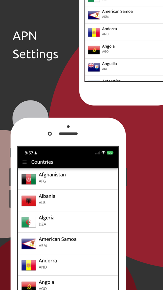 #2. APN Settings (iOS) 来自: NATUREWEB LLP