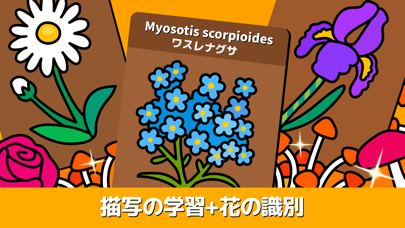 箱庭の塗り絵：花と植物図鑑でキラキラした庭を作りましょう！のおすすめ画像4
