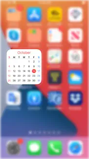 widgetcal-calendar widget iphone screenshot 3