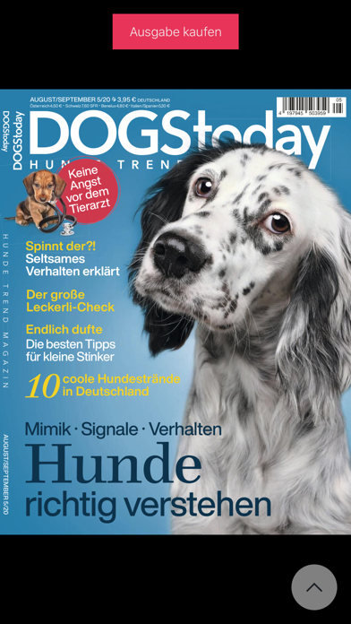 DOGStoday Magazin Screenshot