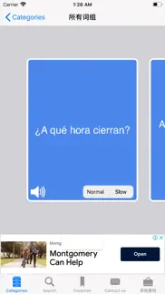 english to spanish phrasebook iphone screenshot 4