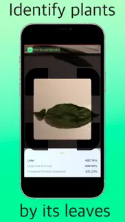 plant by leaf identifier iphone screenshot 1