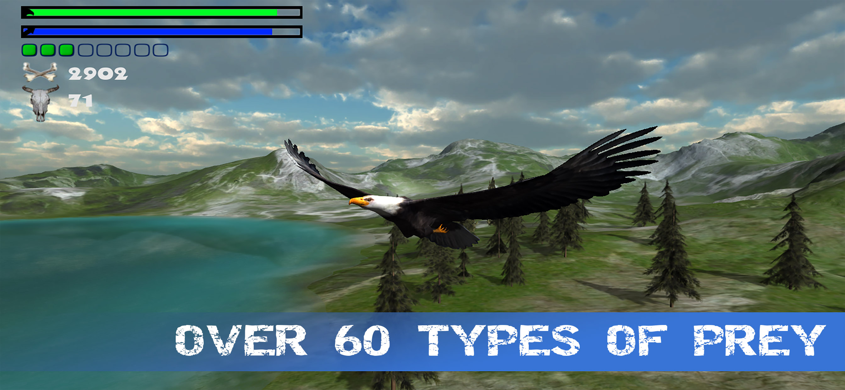 Eagle Hunting Journey