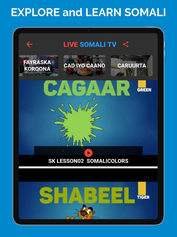 Live Somali TV