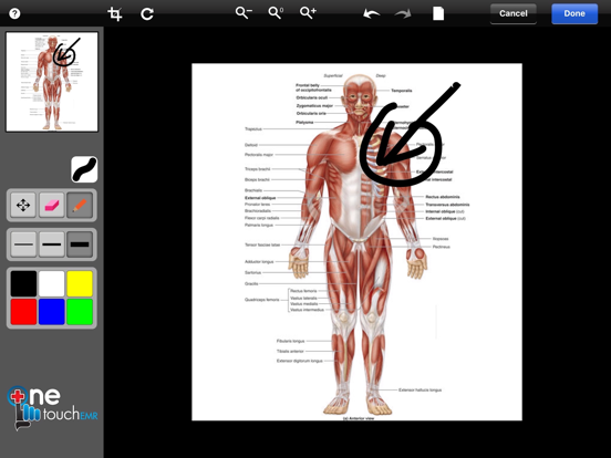 Screenshot #6 pour OneTouch EMR