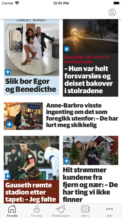 Gjengangeren nyheter Screenshot