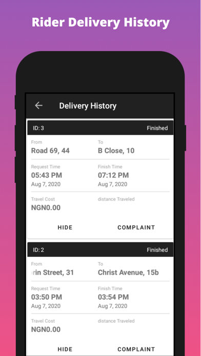 Speedy Delivery Rider Screenshot