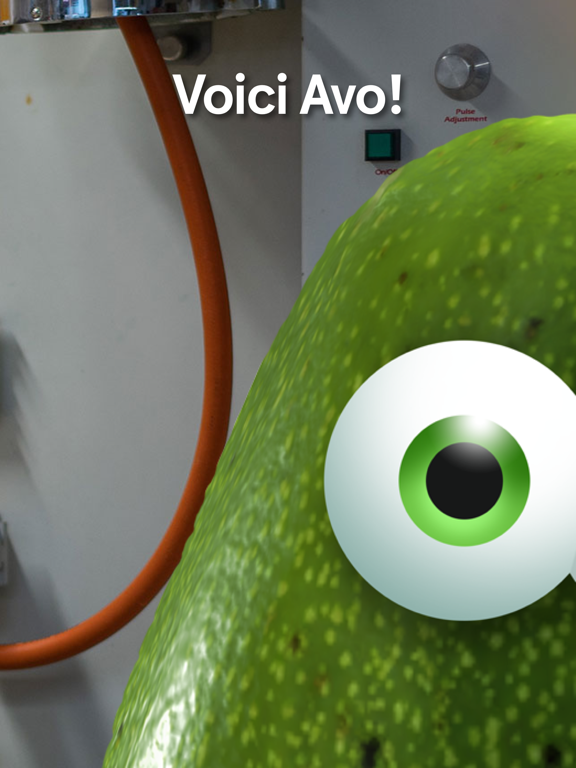Avo Avo