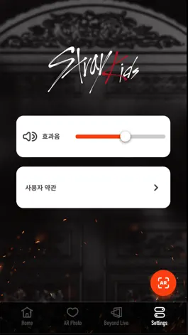 Game screenshot Stray Kids AR hack