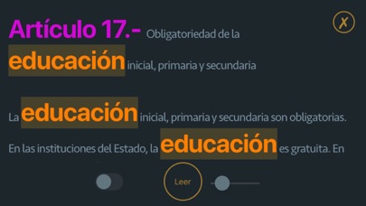 Constitución Política del Perú Screenshot