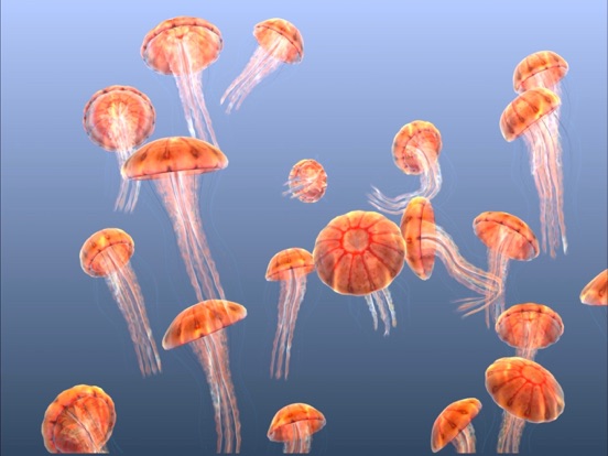 Screenshot #6 pour Jellyfish Chrysaora