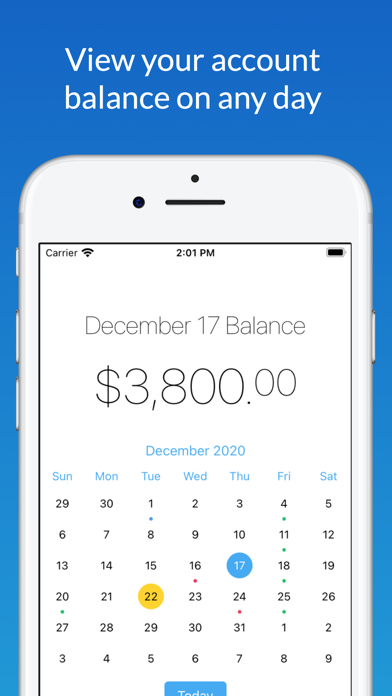 Divvi: Balance & Budget Screenshot