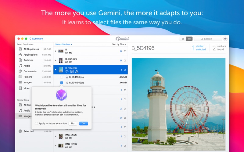 gemini 2: the duplicate finder problems & solutions and troubleshooting guide - 1