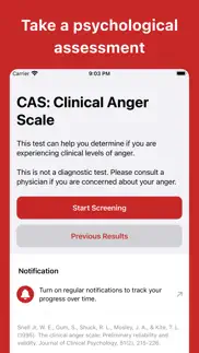 anger test (clinical) iphone screenshot 1