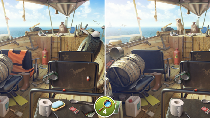 Hidden Differences - Spot Them