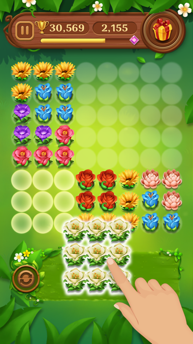 Block Puzzle Blossom Screenshot