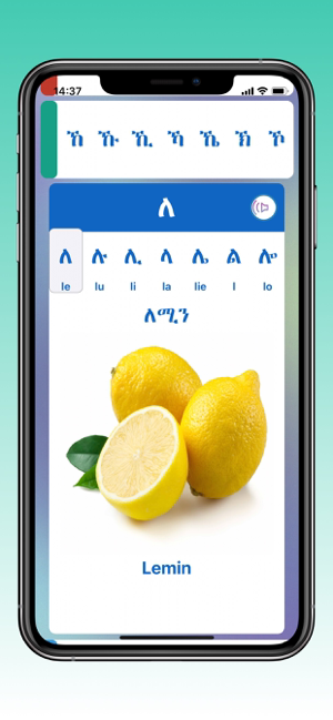 Tigrigna Fidelat Screenshot