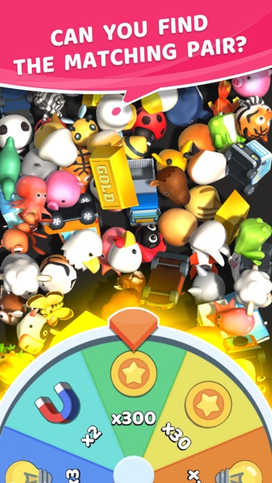Pair 3D Master Screenshot