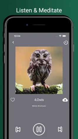 Game screenshot Bird Sounds!!! hack