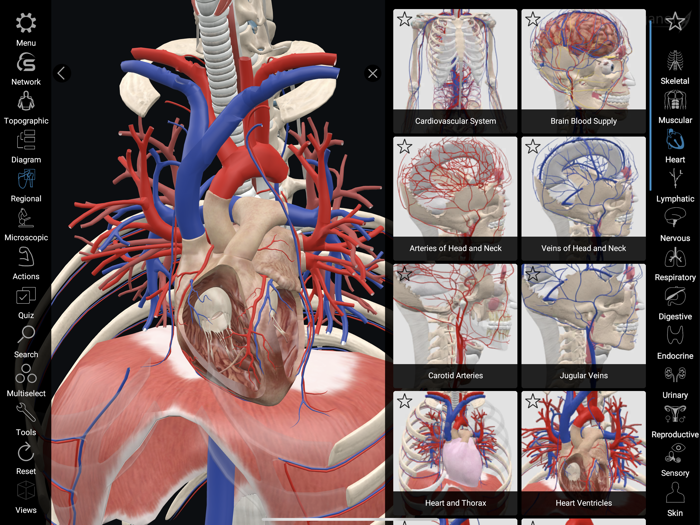 3D Organon Anatomy Enterprise