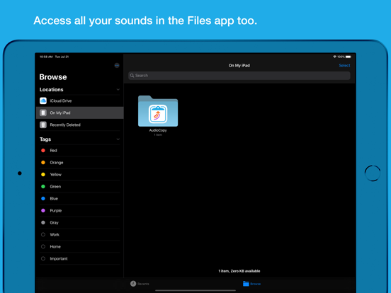 AudioCopy iPad app afbeelding 4