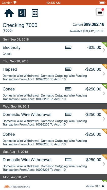 Hyperion Bank Cash Management screenshot-4