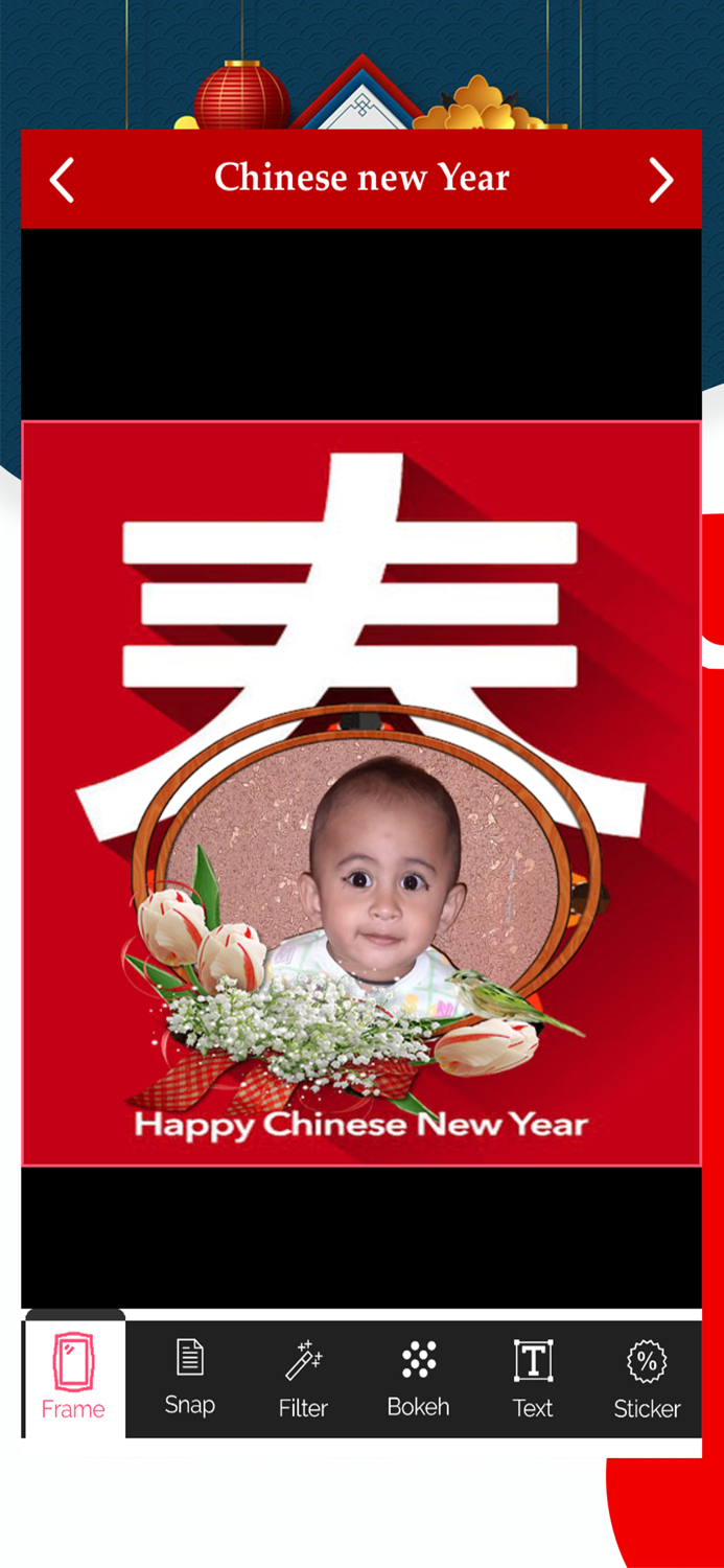 Chinese New Year Cards and Frame
