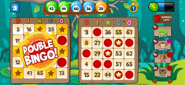zout Verplicht Omkleden Abradoodle Bingo! dier spellen in de App Store