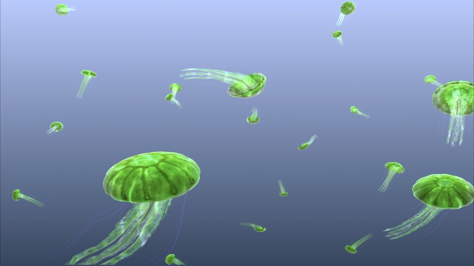 #10. Jellyfish Chrysaora (iOS) 由: Sensory App House Ltd
