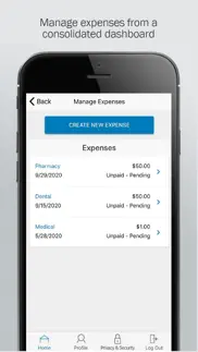 paychex benefit account iphone screenshot 3