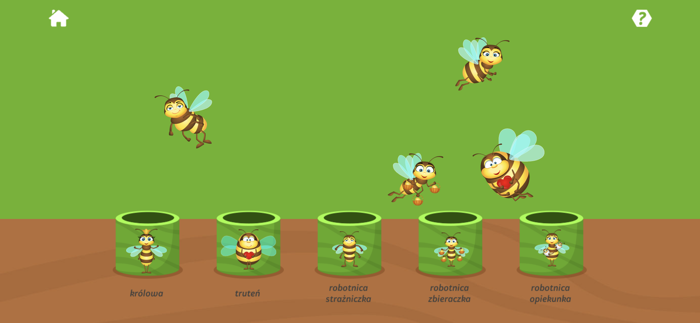 Pszczoła -Edukacja Ekologiczna