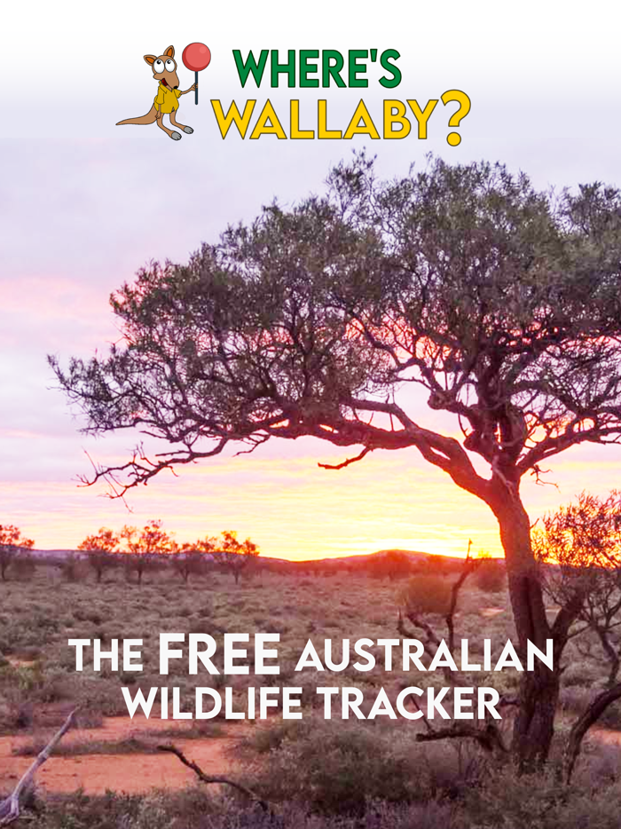 Wheres Wallaby?