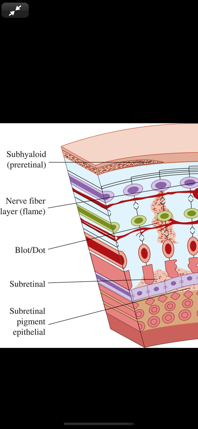 Atlas of Emergency Medicine 5E