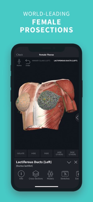 Complete Anatomy ‘21(圖6)-速報App
