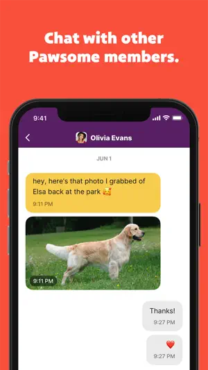 Pawsome – Pet Wellness Brand screenshot 4