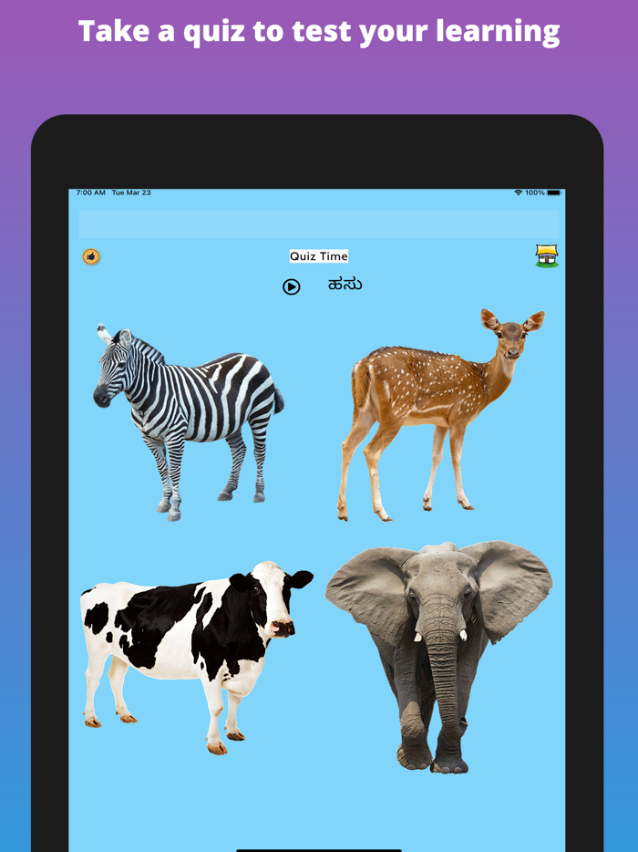 Learn Kannada Flashcards
