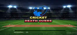 Game screenshot Cricket Death overs mod apk