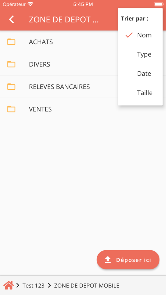 #4. LR AUDIT (iOS) 由: MyCompanyFiles