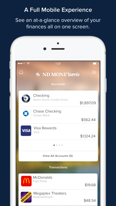 MoneyWorks Screenshot