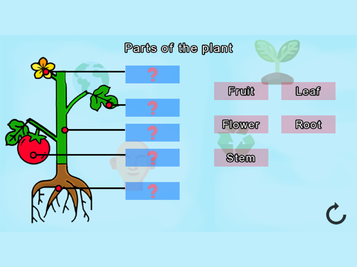 Educational Games Pro