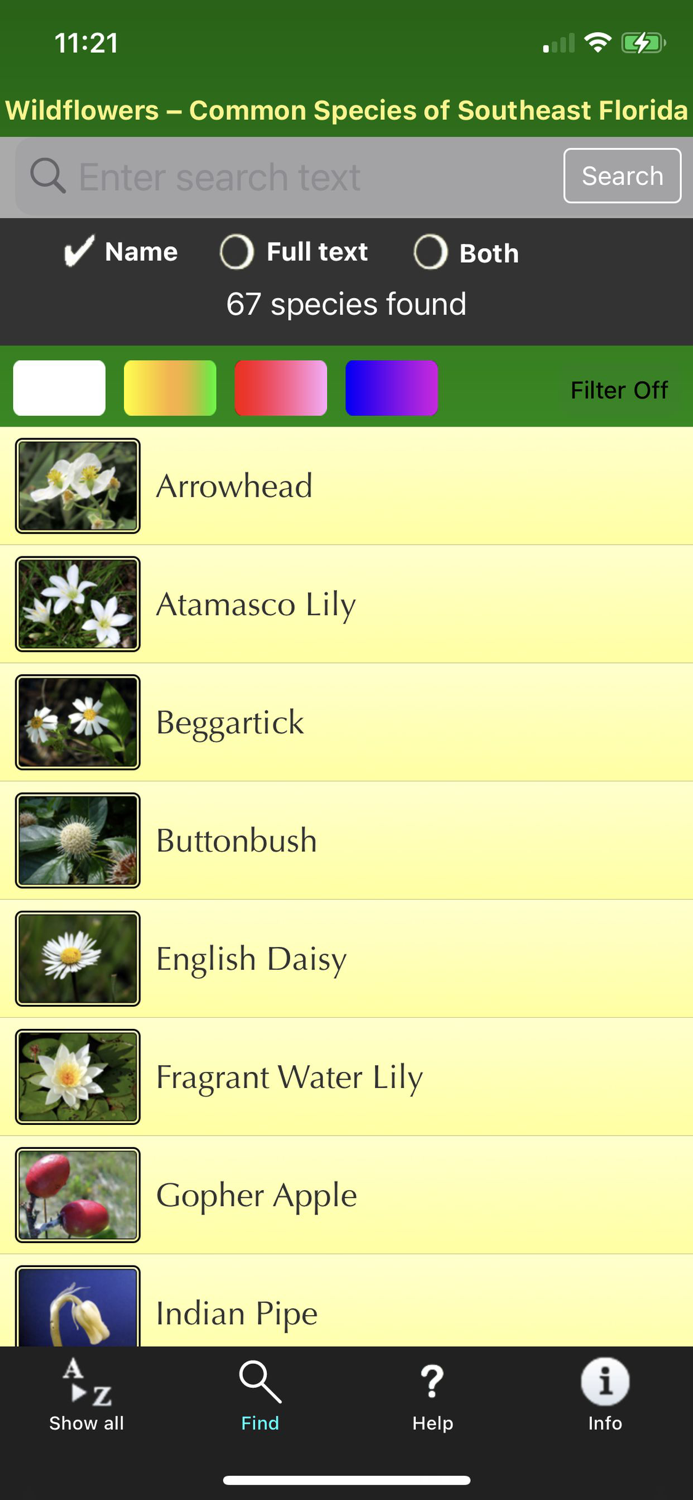 Southern Florida Wildflowers