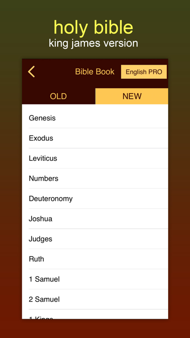 La Santa Biblia with Audio Screenshot